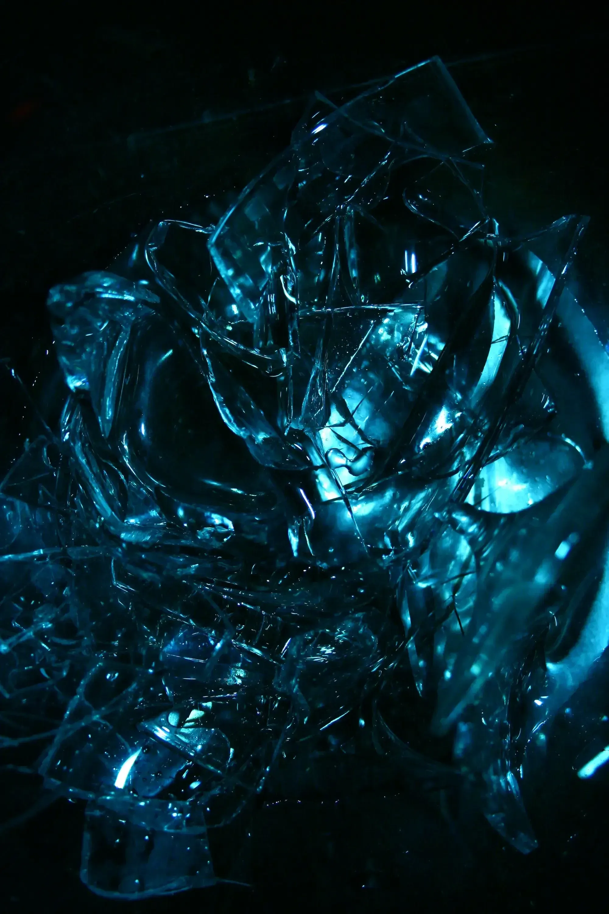Pieces of ice in blue light on black background.  