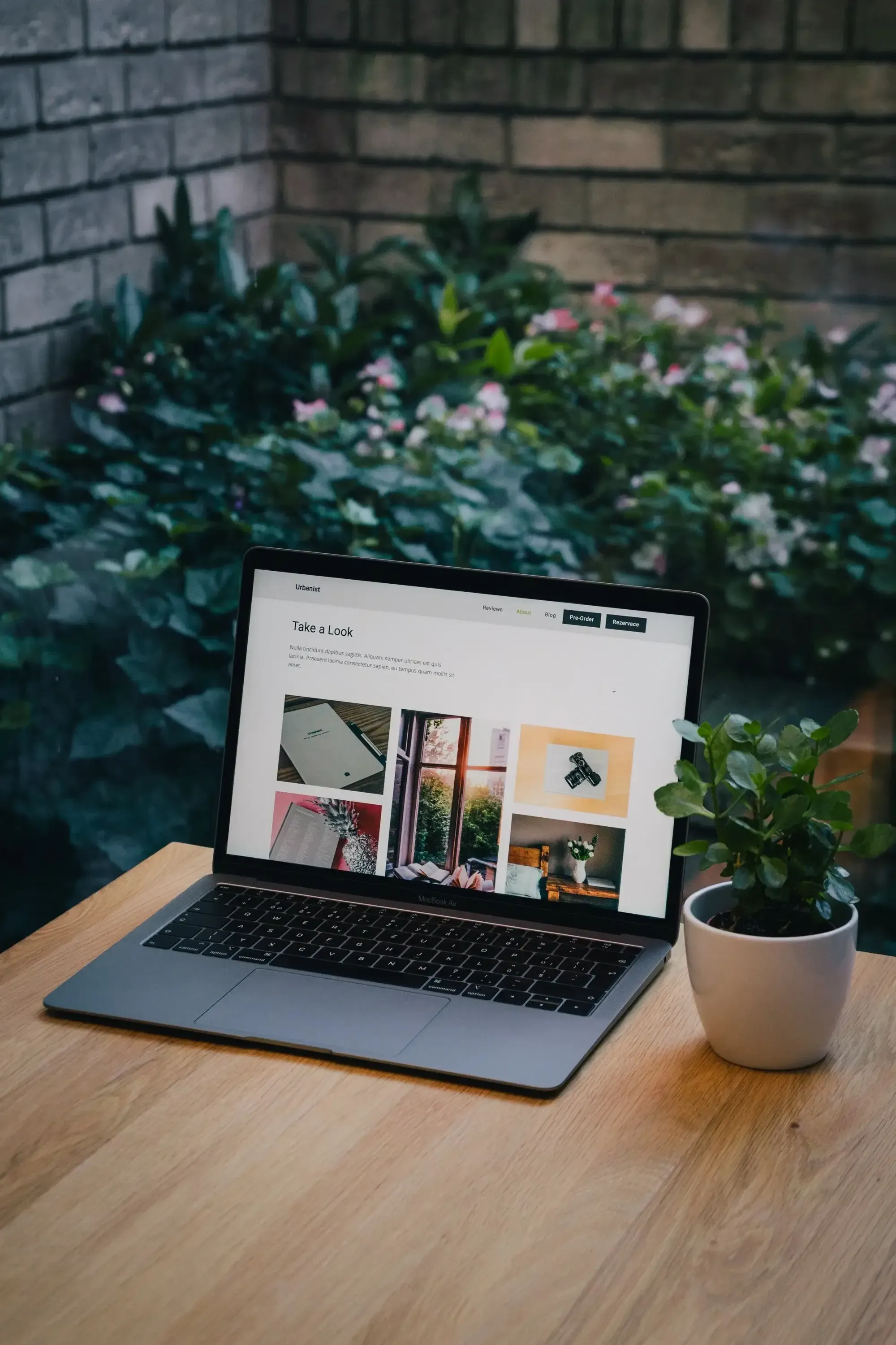 Laptop auf einem Holztisch, neben einer Topfpflanze, in einem Garten, der eine Website zeigt.